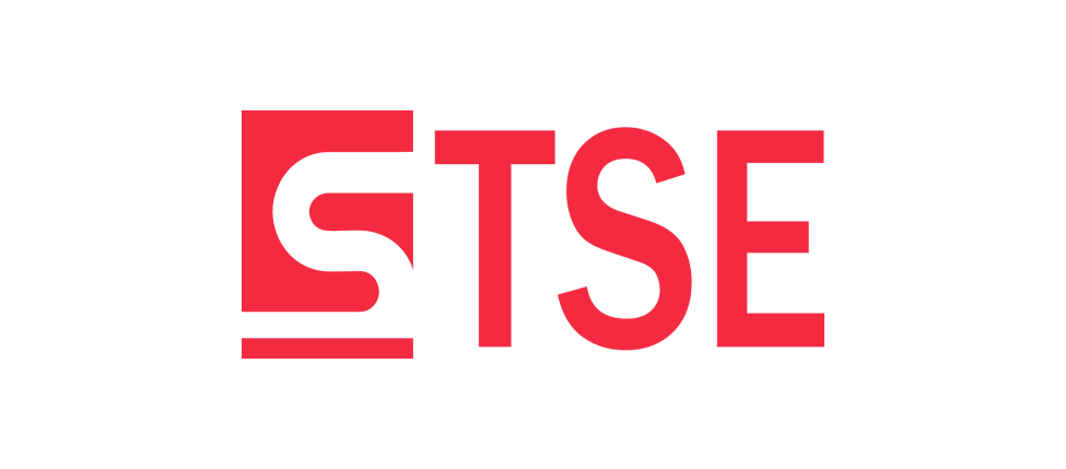TSE CONSULTENCY logo