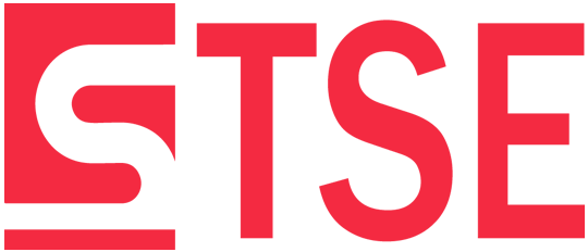 TSE CONSULTENCY